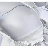 美国泰利福结扎夹 （紫色 大号）544240